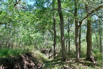 1049 Muehr Road, Weimar, TX 78962 - Photo 14