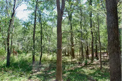 1049 Muehr Road, Weimar, TX 78962 - Photo 12