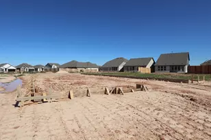 31843 Blossom Ln, Fulshear, TX 77423 - Photo 6