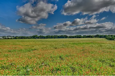 60 Acres McNelly Lane, Burton, TX 77835 - Photo 20