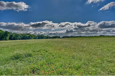 60 Acres McNelly Lane, Burton, TX 77835 - Photo 10