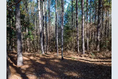 3320 Fm 3065, Colmesneil, TX 75938 - Photo 10