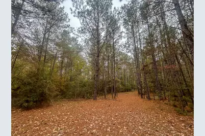 3320 Fm 3065, Colmesneil, TX 75938 - Photo 20