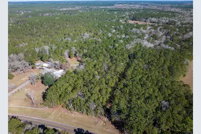 3320 Fm 3065, Colmesneil, TX 75938 - Photo 2