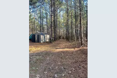 3320 Fm 3065, Colmesneil, TX 75938 - Photo 16