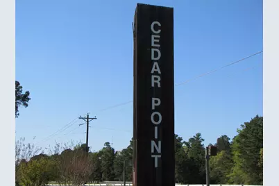 Tbd Mesquite, Livingston, TX 77351 - Photo 1