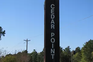 Tbd Mesquite, Livingston, TX 77351 - Photo 1