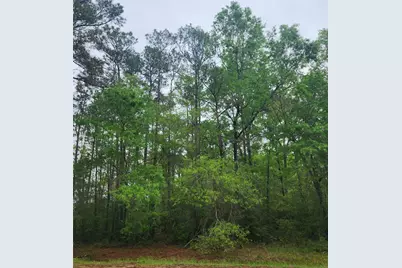 Tbd Cloverdale, Livingston, TX 77351 - Photo 4