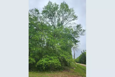 Tbd Cloverdale, Livingston, TX 77351 - Photo 6