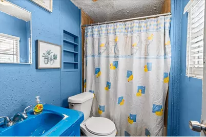 3629 County Road 870, Alvin, TX 77511 - Photo 12