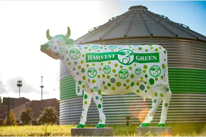 707 Huckleberry Haven Drive, Richmond, TX 77406 - Photo 6