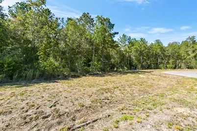 1729 Road 66118, Dayton, TX 77535 - Photo 4