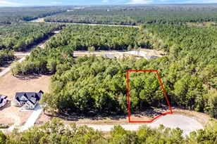 1729 Rd 66118, Dayton, TX 77535 - Photo 1