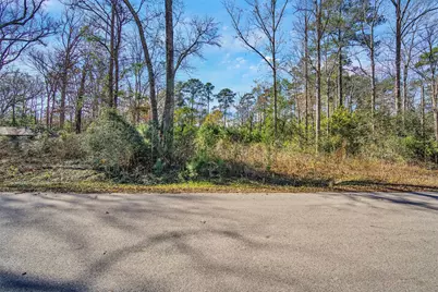 10884 Champion Village Drive, Conroe, TX 77303 - Photo 2