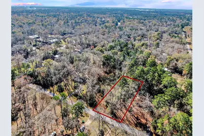 10884 Champion Village Drive, Conroe, TX 77303 - Photo 10