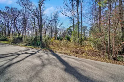 10884 Champion Village Drive, Conroe, TX 77303 - Photo 1