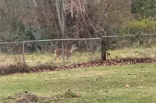 904 Avenue C, Sweeny, TX 77480 - Photo 26