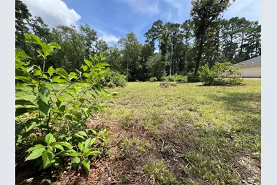 Tr 28 Oak Pine Drive, Livingston, TX 77351 - Photo 8