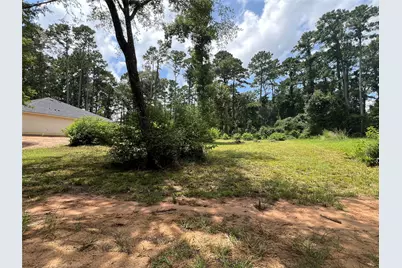 Tr 28 Oak Pine Drive, Livingston, TX 77351 - Photo 4