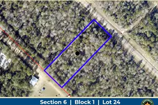 11652 Grand N Rd, Willis, TX 77358 - Photo 1