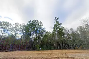 11652 Grand N Rd, Willis, TX 77358 - Photo 8