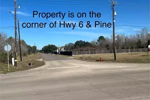 7315 Pine St, Manvel, TX 77578 - Photo 4