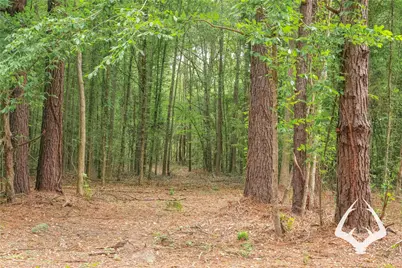 00 00 Recreational Road 255, Colmesneil, TX 75938 - Photo 20
