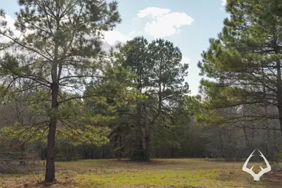 00 00 Recreational Road 255, Colmesneil, TX 75938 - Photo 34