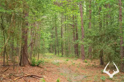 00 00 Recreational Road 255, Colmesneil, TX 75938 - Photo 10