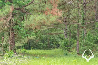00 00 Recreational Road 255, Colmesneil, TX 75938 - Photo 16