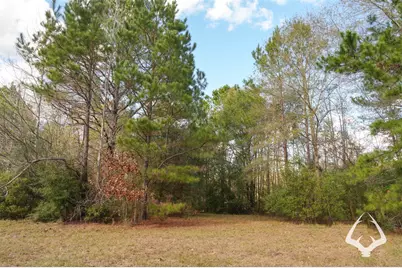 00 00 Recreational Road 255, Colmesneil, TX 75938 - Photo 36