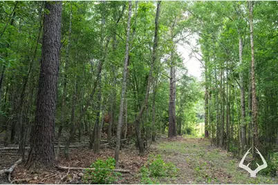 00 00 Recreational Road 255, Colmesneil, TX 75938 - Photo 18