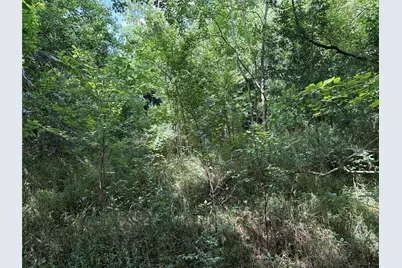 0 Donna Street, Houston, TX 77048 - Photo 1