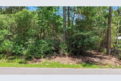 31906 Pine Crossing, Magnolia, TX 77355 - Photo 6
