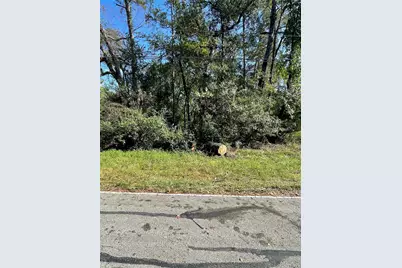 0 Overcup Drive, Spring, TX 77389 - Photo 4