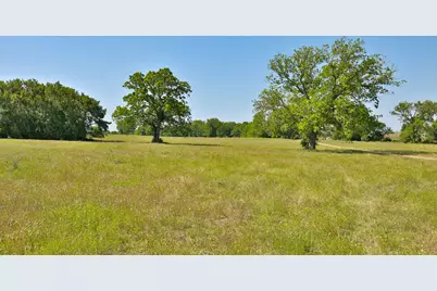Tract #9 Cr 305 Road, Navasota, TX 77868 - Photo 12