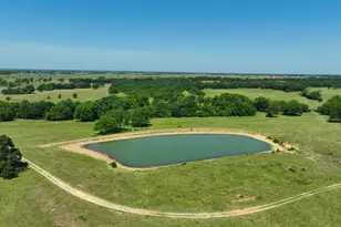 Tract #9 Cr 305 Rd, Navasota, TX 77868 - Photo 1