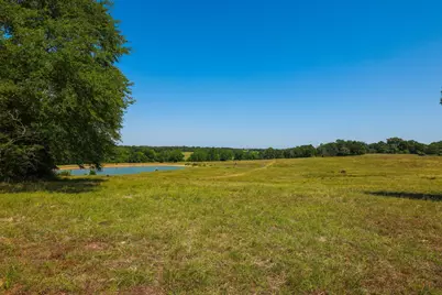Tract #9 Cr 305 Road, Navasota, TX 77868 - Photo 16