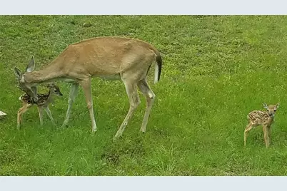 2055 Island View, Canyon Lake, TX 78133 - Photo 30