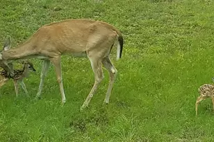 2055 Island View, Canyon Lake, TX 78133 - Photo 30