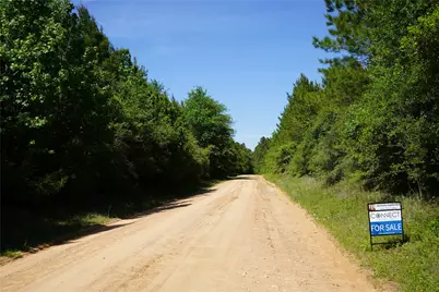 03 Tbd Sh 146/E Schwab, Livingston, TX 77351 - Photo 2