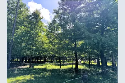 00000 County Road 540, Alvin, TX 77511 - Photo 6