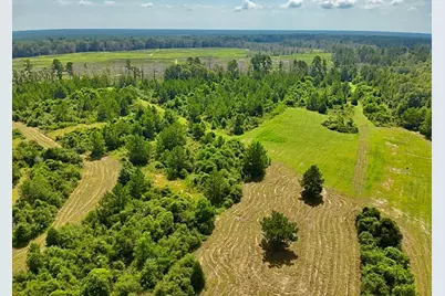 81363 George Sanner Rd Road, Village Mills, TX 77663 - Photo 4