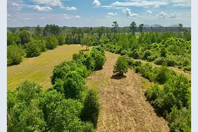 81363 George Sanner Rd Road, Village Mills, TX 77663 - Photo 16