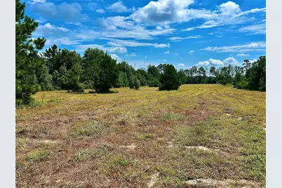 81363 George Sanner Rd Road, Village Mills, TX 77663 - Photo 22