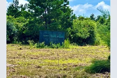 81363 George Sanner Rd Road, Village Mills, TX 77663 - Photo 38