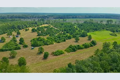 81363 George Sanner Rd Road, Village Mills, TX 77663 - Photo 8