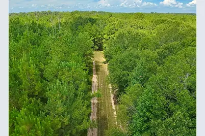 81363 George Sanner Rd Road, Village Mills, TX 77663 - Photo 42