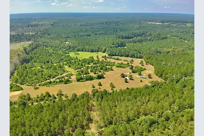 81363 George Sanner Rd Road, Village Mills, TX 77663 - Photo 12