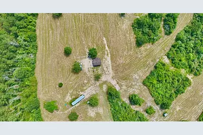 81363 George Sanner Rd Road, Village Mills, TX 77663 - Photo 10